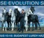 Horse Evolution Show