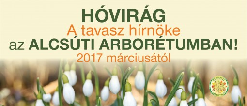   - H Ó V I R Á G Ü N N E P az Alcsúti Arborétumban