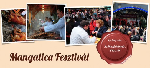 Székesfehérvári Mangalica Fesztivál 2012  - Székesfehérvári Mangalica Fesztivál