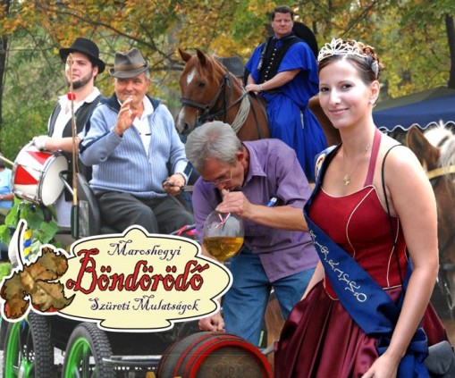   - VI. Maroshegyi Böndörödő